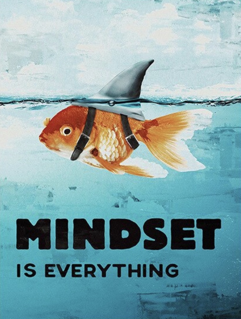 Poster motivation : poisson rouge requin &quot;Mindset is everything&quot; - /medias/158655157068.jpg