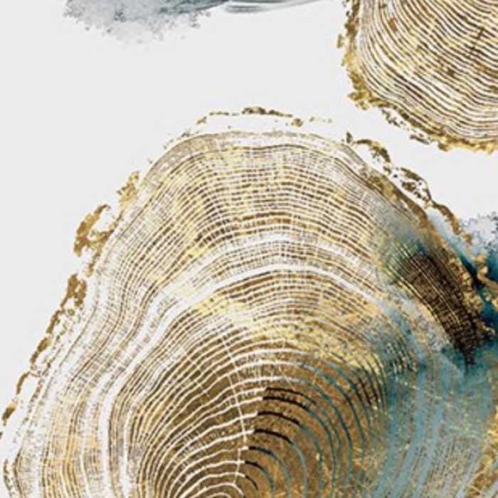 Poster nature feuille et tronc d'arbre : tronc moyen blanc or