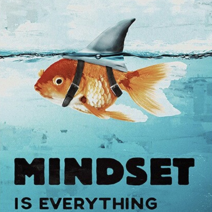 Poster motivation : poisson rouge requin "Mindset is everything"